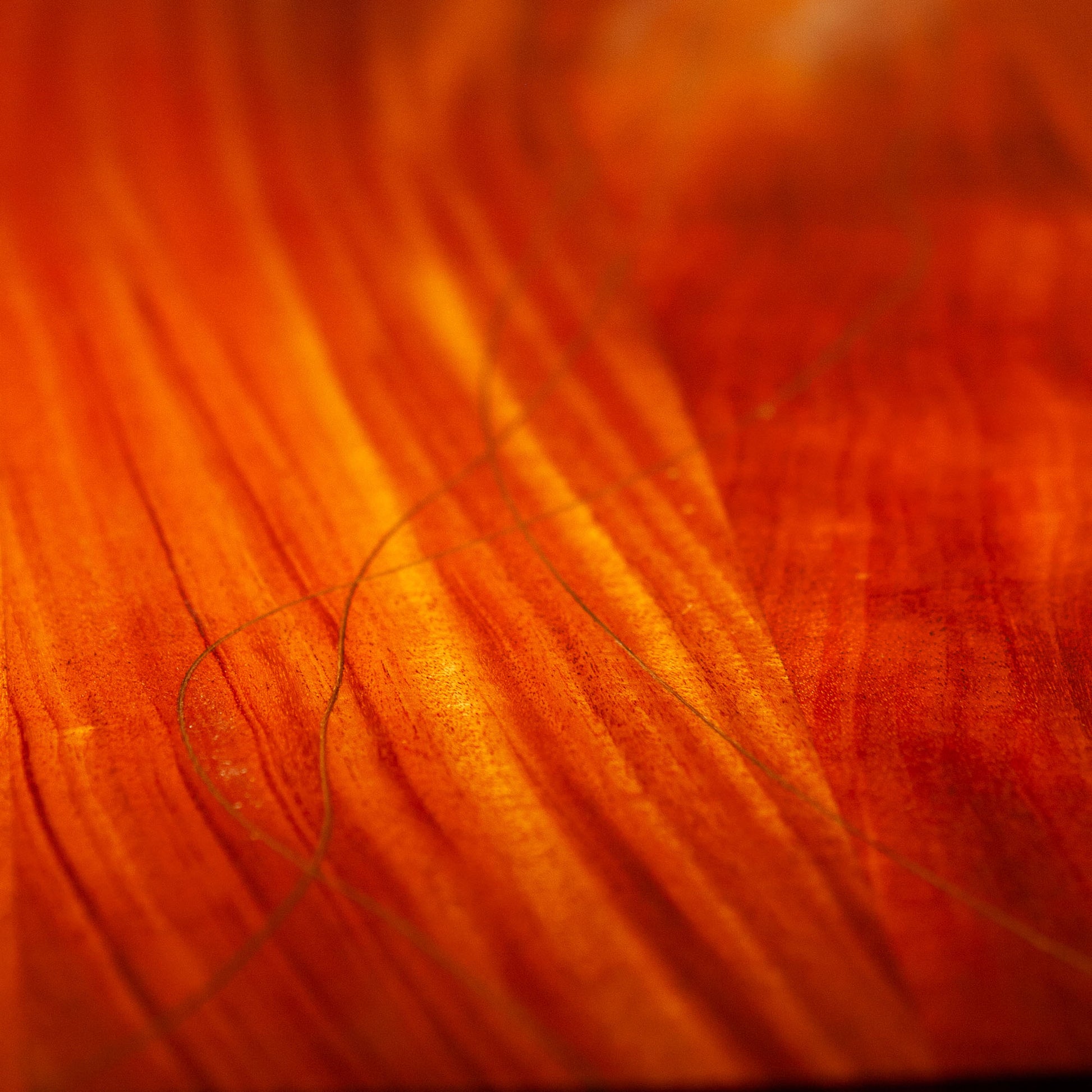 Alma de Agua line - Una Raiz Woodworks
